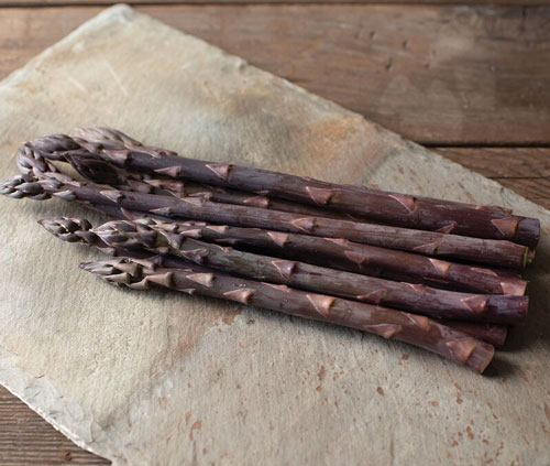 Asparagus - Erasmus