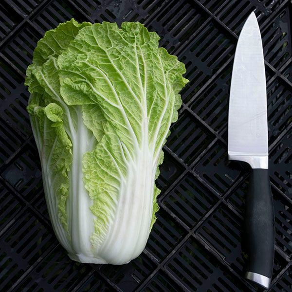 Cabbage, Napa- Bilko