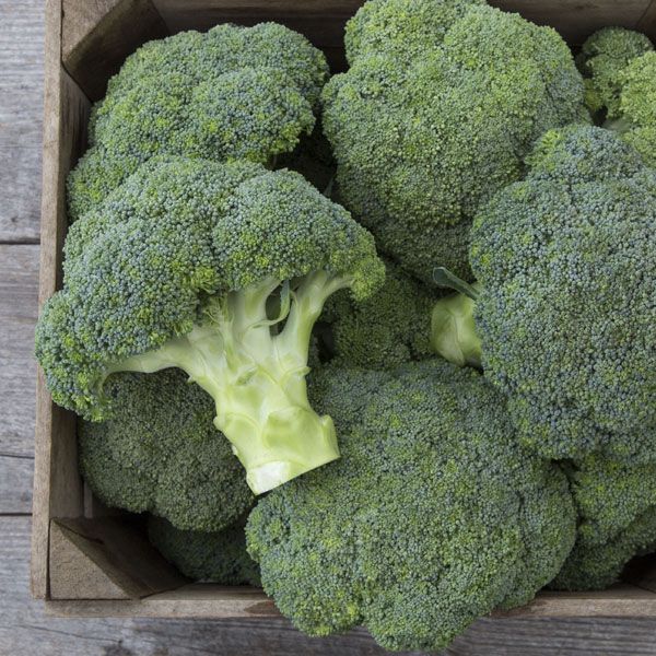 Broccoli- Covina