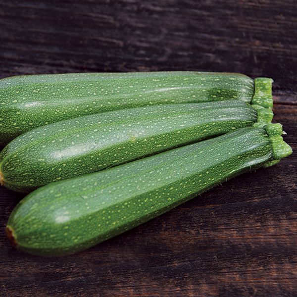 Dark Green Zucchini
