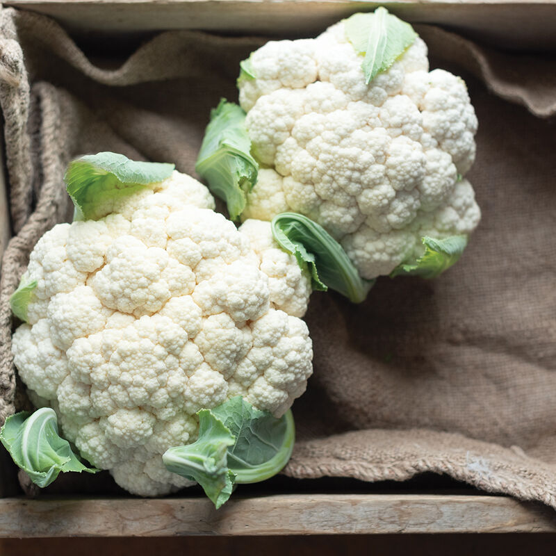 Cauliflower- Earlisnow
