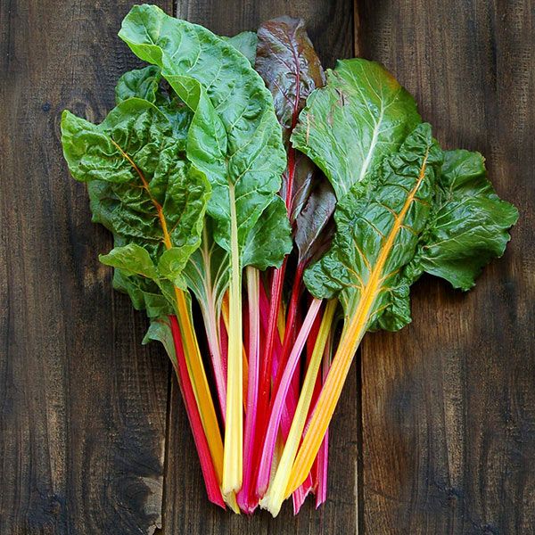 Rainbow Chard