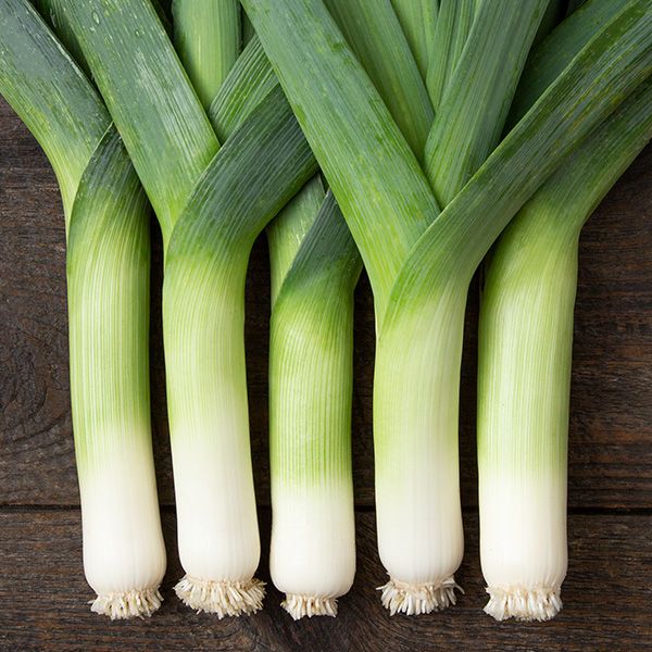 Leeks- Lancelot