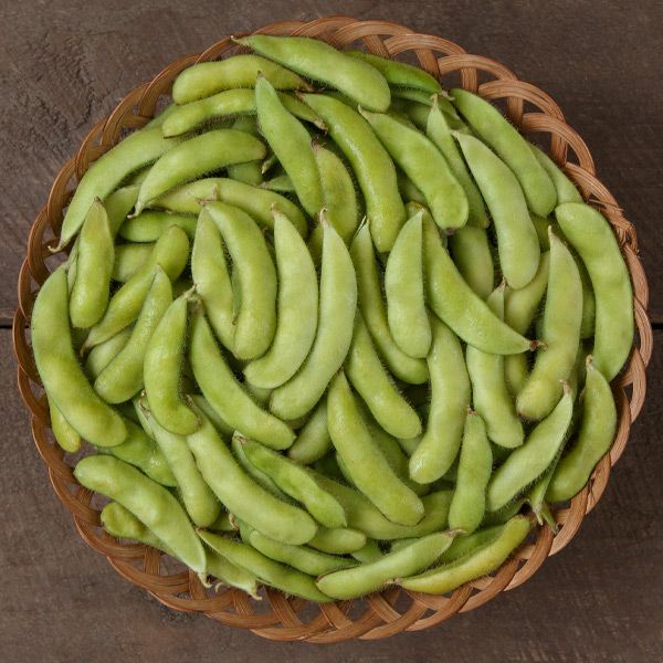 Soybean