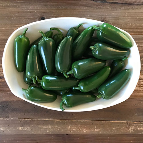 Jalapeño - Black Magic