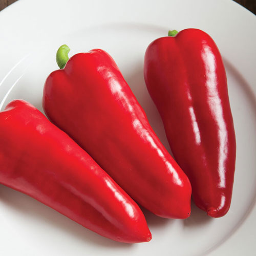 Cornito - Rosso