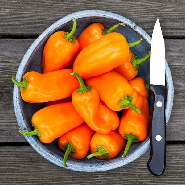 Picnic Orange