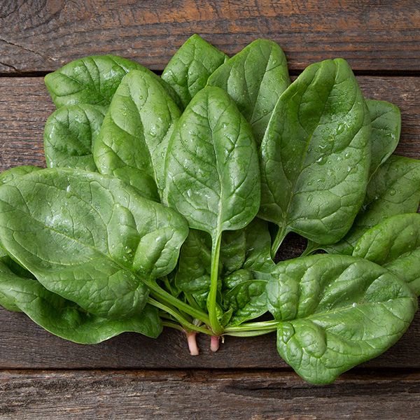 Spinach- Space