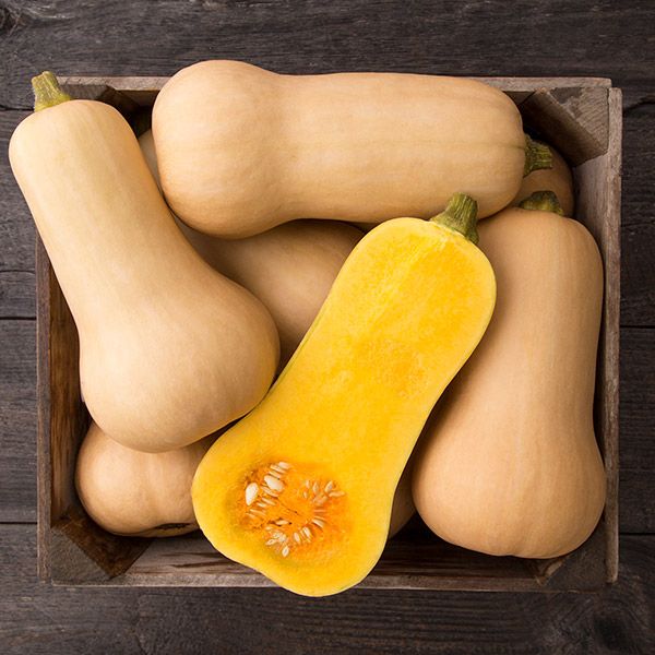 Butternut- Waltham